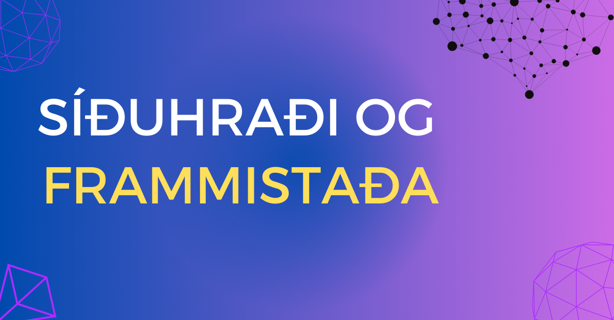 Text showing Síðuhraði og Frammistaða